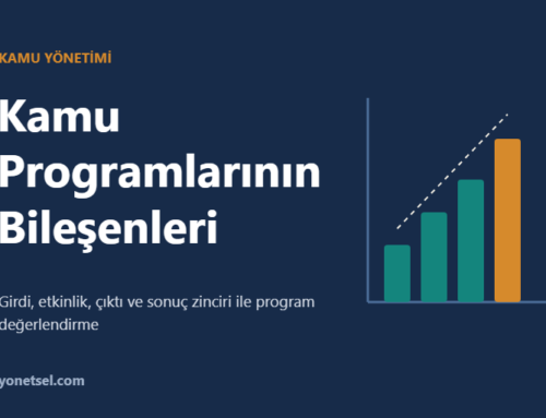 Kamu Programlarının Bileşenleri ve Değerlendirilmesi