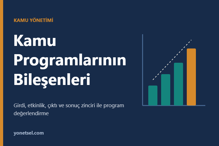 Kamu Programlarının Bileşenleri ve Değerlendirilmesi